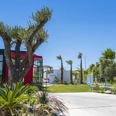 That's * 阿拉恰特